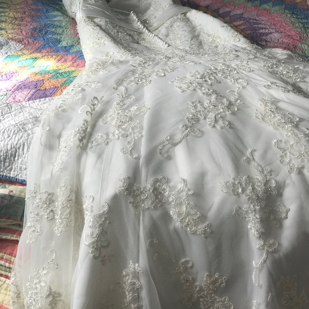 Bridal gown and veil